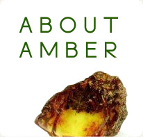 about amber